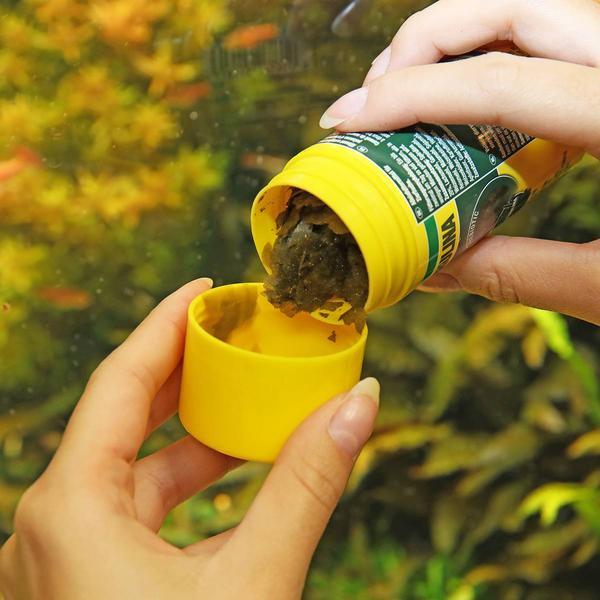 Image du produit JBL Aquaristik und Terraristik ProNovo SPIRULINA FLAKES M 100ml (Poissons d'ornement, 100 ml)