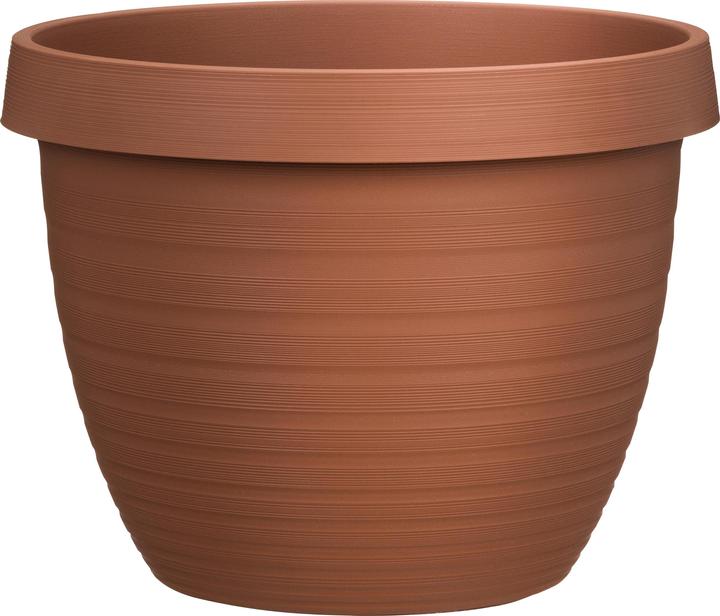 Terracotta