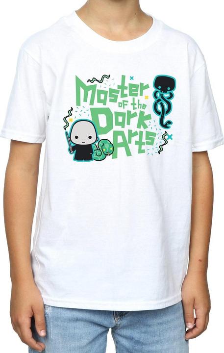 Actual product image Boys Voldemort Dark Arts Junior T-Shirt (116)