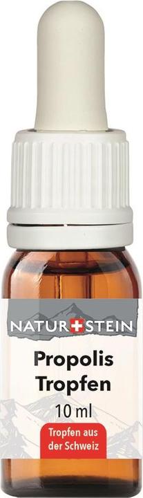 Actual product image Naturstein Propolis tincture (1 Piece, 80 g)