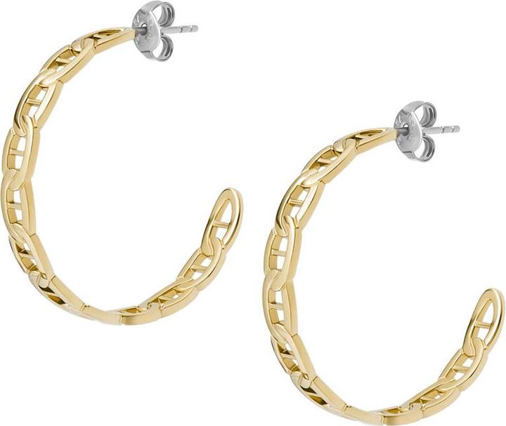 Produktbild Fossil Heritage Ohrringe (Edelstahl)