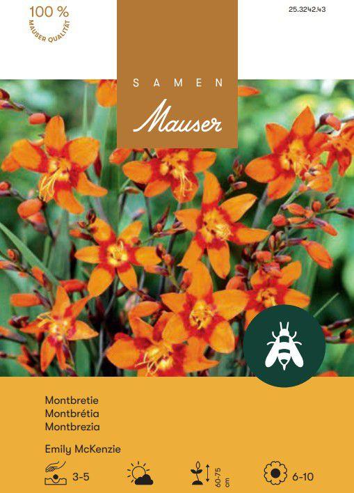 Samen Mauser Montbretie Emilie McKenzie (Semi di fiori)