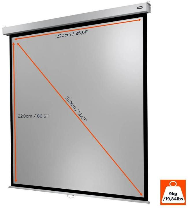Produktbild Celexon Rollo Professional (120.08", 1:1)