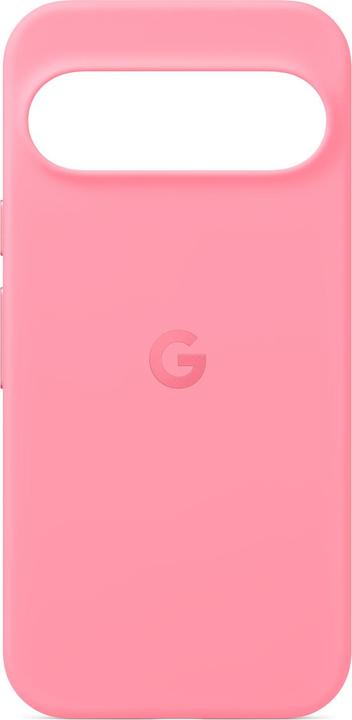 Immagine prodotto Google Case (Google Pixel 9)
