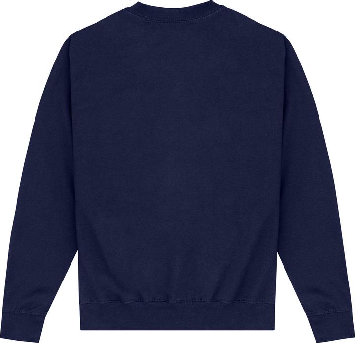 Image du produit Park Fields - Sweat SOUTH PHILLY PANTHERS - Adulte (XL)