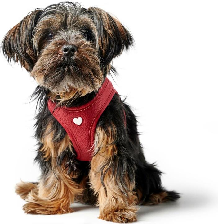 Actual product image Hunter Harness Love 37-40/XS-S, red/black, dog size: S, XS (Dog, Walks)