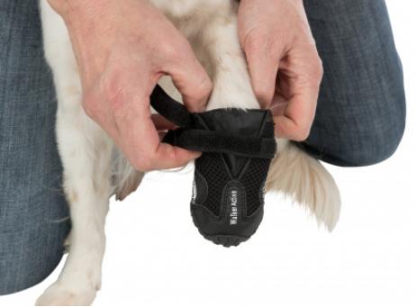 Actual product image Trixie Paw protector Walker Active Gr.L (L, Dog boots)