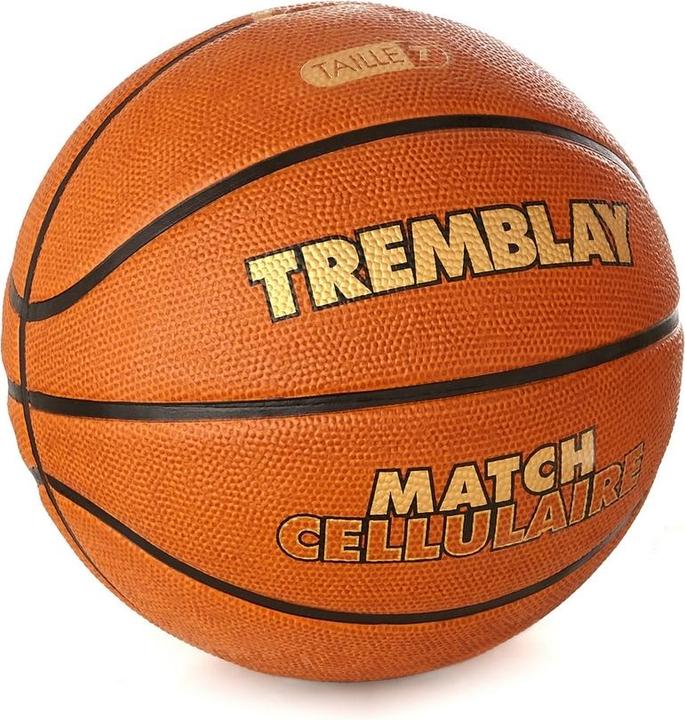Actual product image Hasbro Tremblay Basketball cell phone match
