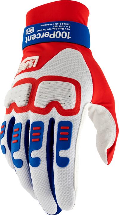 Produktbild 100% Langdale Gloves (S)