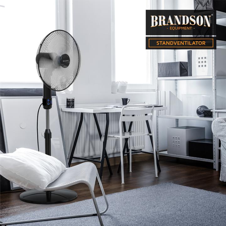Actual product image Brandson Pedestal fan (45 dB)