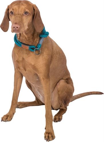 Produktbild Trixie BE NORDIC Zug-Stopp-Halsband (XS, Hund, Hundesport)