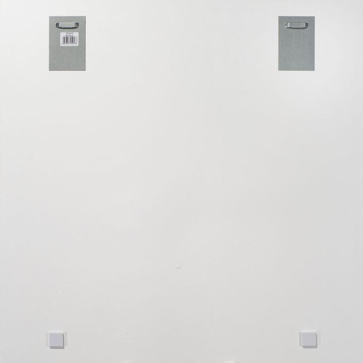 Produktbild Schubiger Bild Löwenkopf (80 x 80 cm)