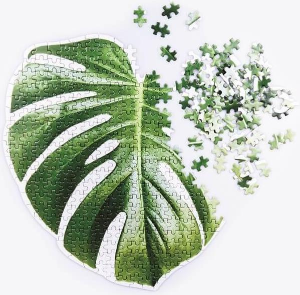 Produktbild Doiy Slow Puzzle Monstera (500 Teile)