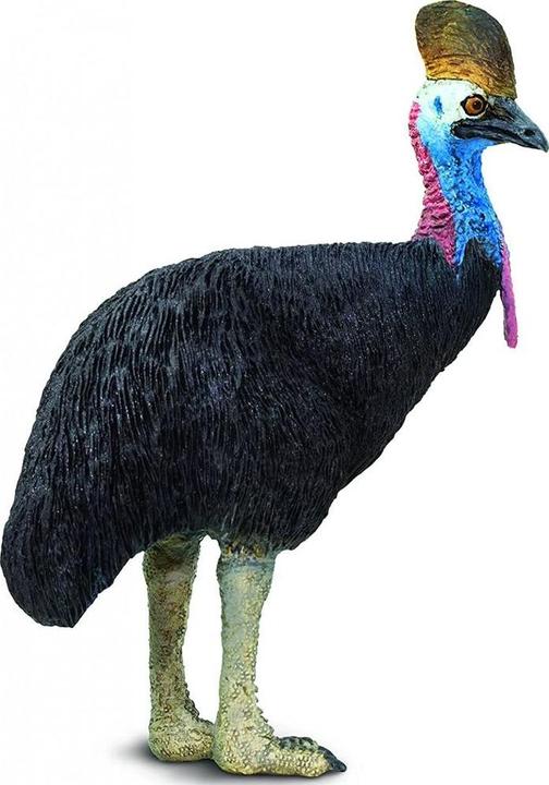 Actual product image Safari Cassowary