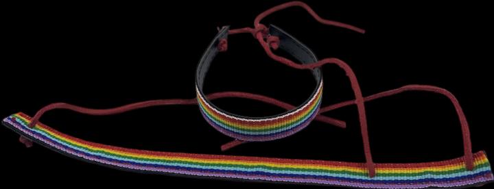 Image du produit Pulsera De Cuero Negro Bandera Lgbt