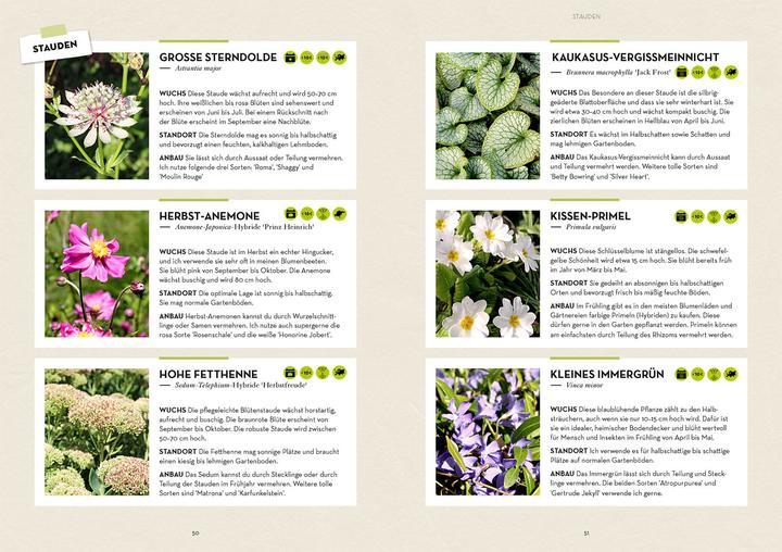 Produktbild Kosmos Garten - einfach günstig (Deutsch, Iris Winkenbach, 2023)