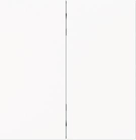 Busch-Jaeger Rocker 2-fold Smart Switch