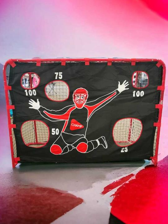Actual product image Hudora Floorball goal with goal wall