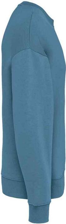Actual product image Native Spirit Womens/Ladies Oversized Sweatshirt (XL)