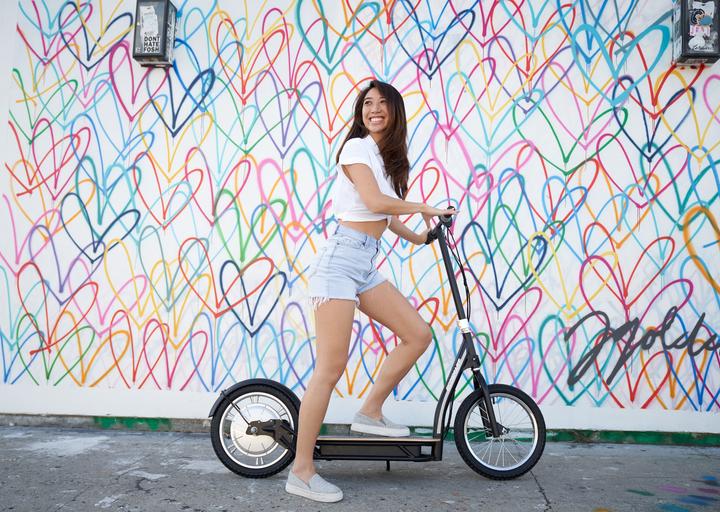 Produktbild Razor EcoSmart (25 km/h, 19 km, 350 W)