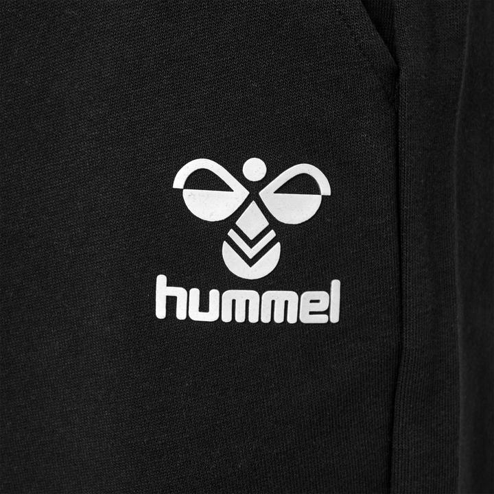 Image du produit hummel Hmlicons Shorts Reguliers (S)