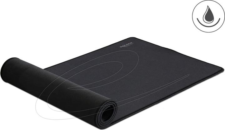 Delock 12557 (Wide)