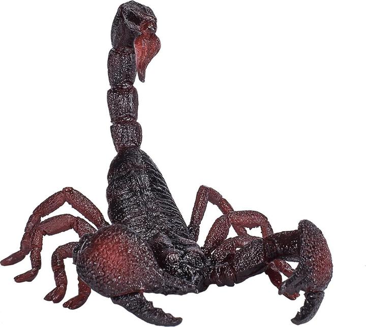 Image du produit small foot Scorpion impérial