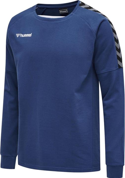 Image du produit hummel Sweat D'Entraînement Authentique (M)