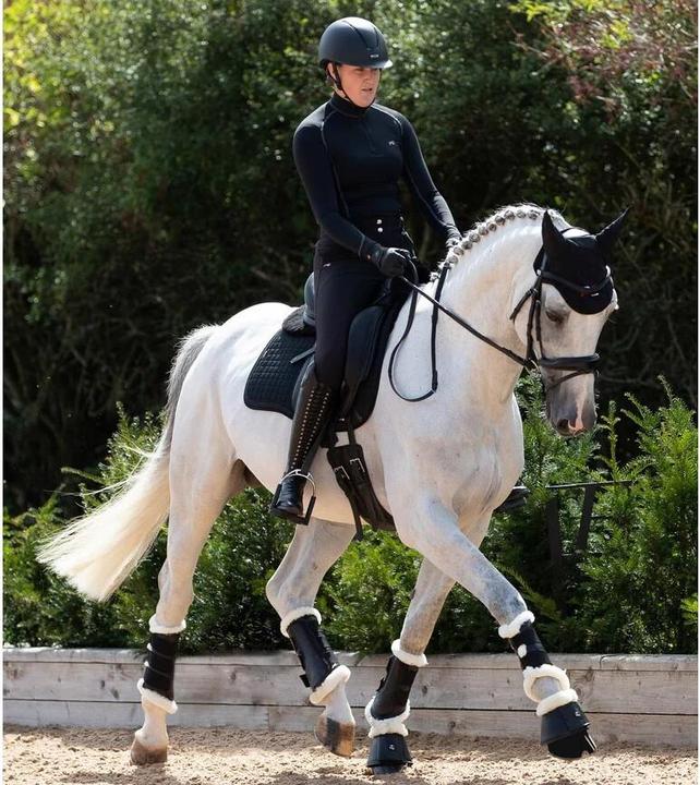 Actual product image Premier Equine Metaro (XXL)