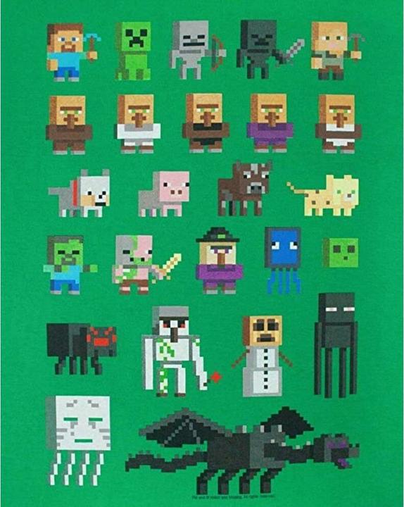 Produktbild Minecraft Sprites TShirt Jungen (158, 164)