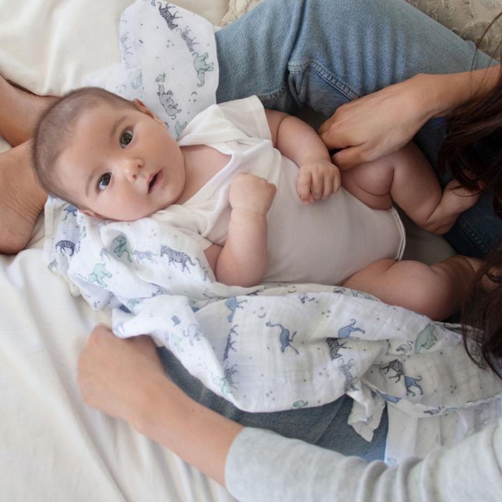 Actual product image aden + anais Burp cloths (70 cm, 70 cm)