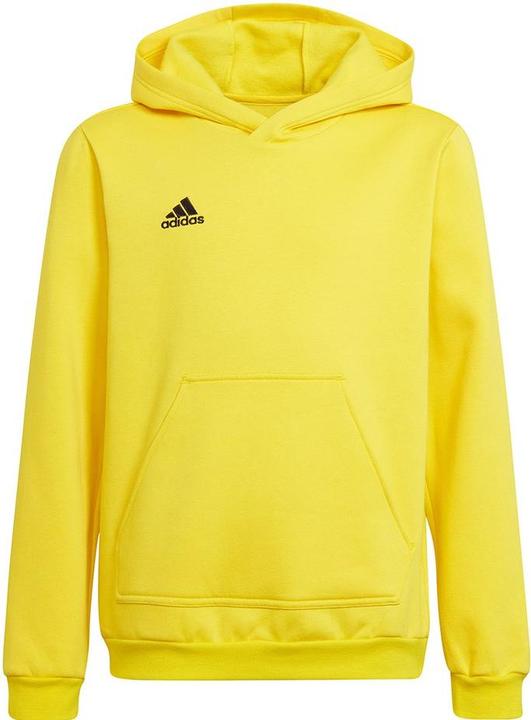 adidas Entrada 22 Kapuzenpullover Kinder