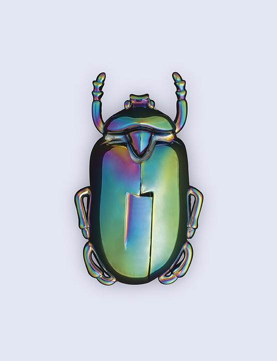 Image du produit Doiy Insectum (Tire-bouchon)