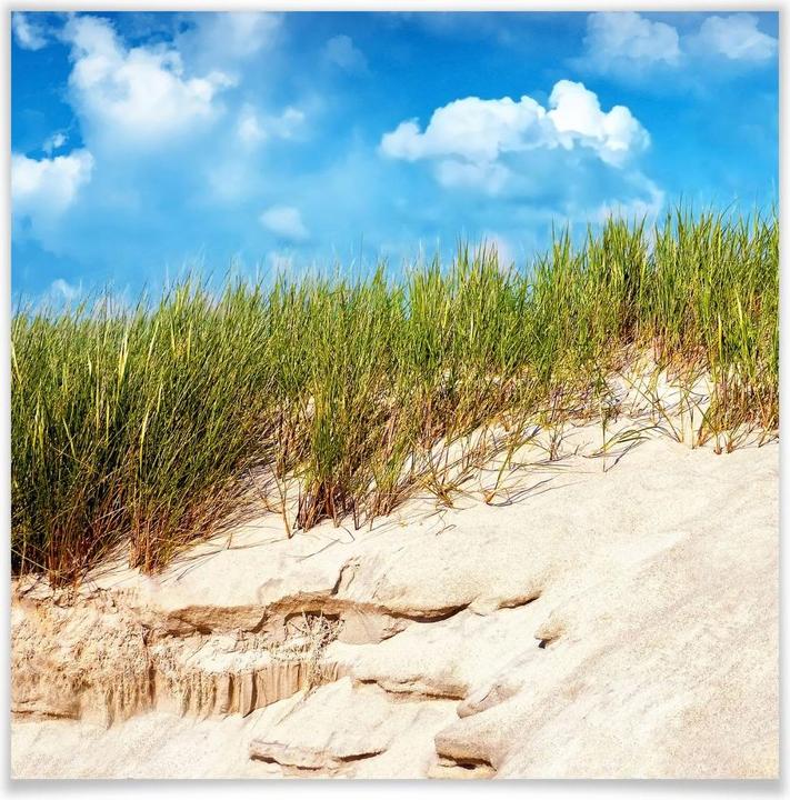 Produktbild Trenddeko Ostsee Dünenlandschaft (30 x 30 cm)