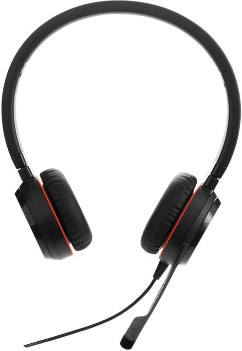 Actual product image Jabra Evolve 20 (Cable, USB-A)