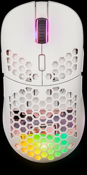 Actual product image Fourze GM900 Mouse Ambidextrous