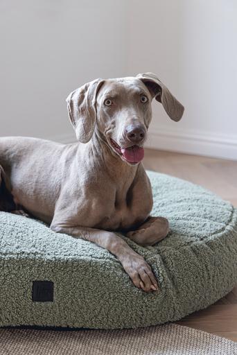 Actual product image Designed by Lotte Ribbed divan bed (Dog)