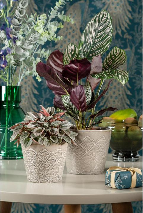Produktbild Scheurich Peacock, Blumentopf aus Keramik, Farbe: Vintage Greige, 20,8 cm Durchmesser, 17,5 cm hoch (20.80 cm)