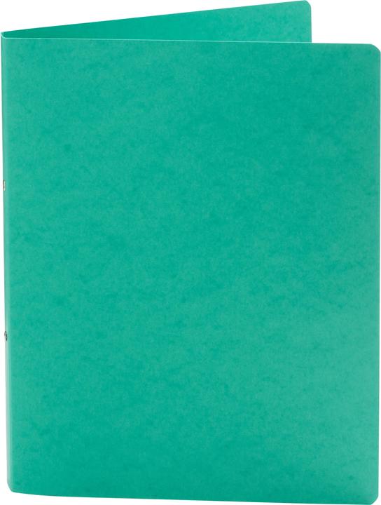 Image du produit Classeur à anneaux, DIN A4 (A4, 255 mm, 1 pièce(s))