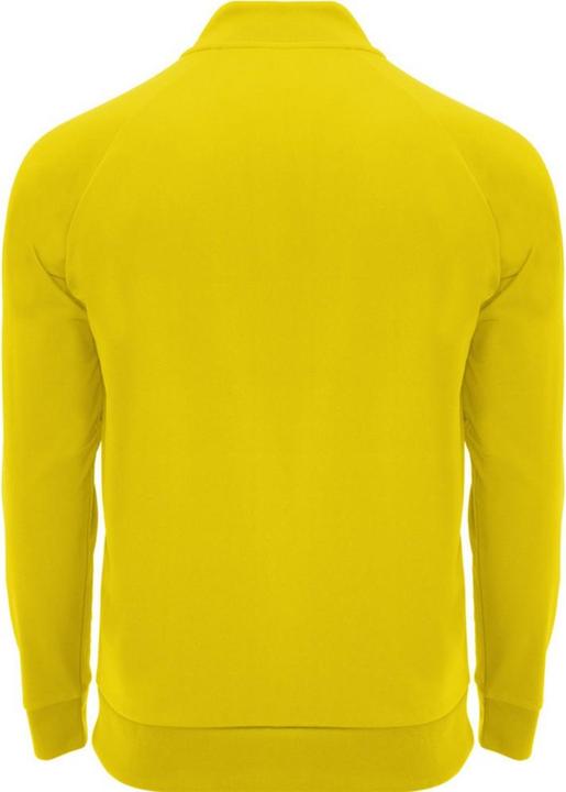 Immagine prodotto Alpinia Epiro Felpa Cerniera ad un quarto Manica Lunga Adulto Unisex (L)