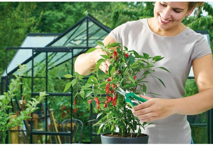 Produktbild Romberg Ernteschere Curved