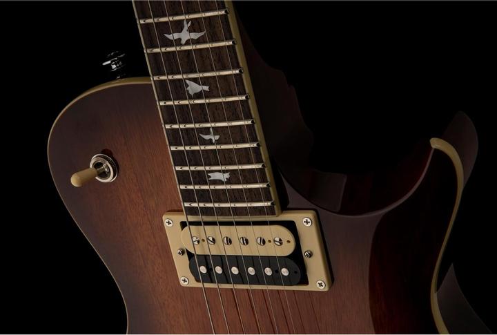 Immagine prodotto PRS SE 245 Standard (Chitarra elettrica, Mogano)