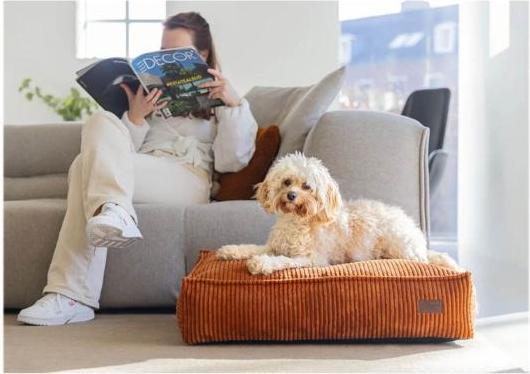 Actual product image Designed by Lotte Ribbed Cushion (Dog)