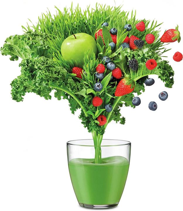 Actual product image Sage The Nutri Cold