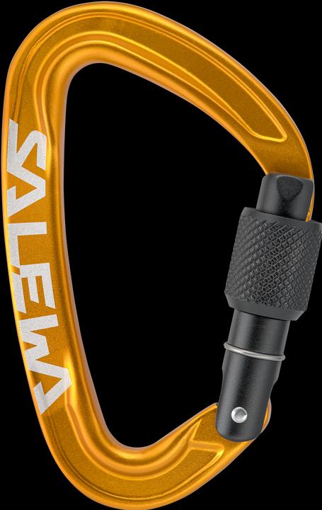 Actual product image Salewa Ortles Screw Carabiner