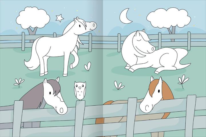 Image du produit Mon grand livre de coloriage coloré - Chevaux et poneys