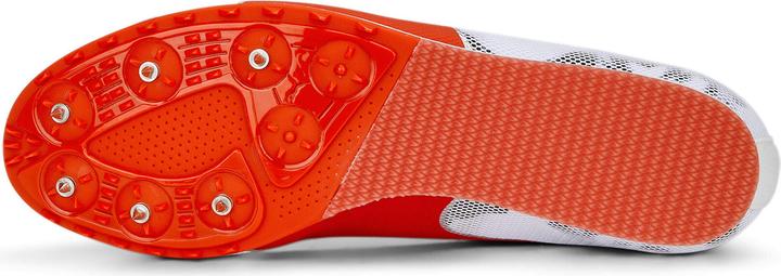 Produktbild Puma evoSPEED Star 8 (43)