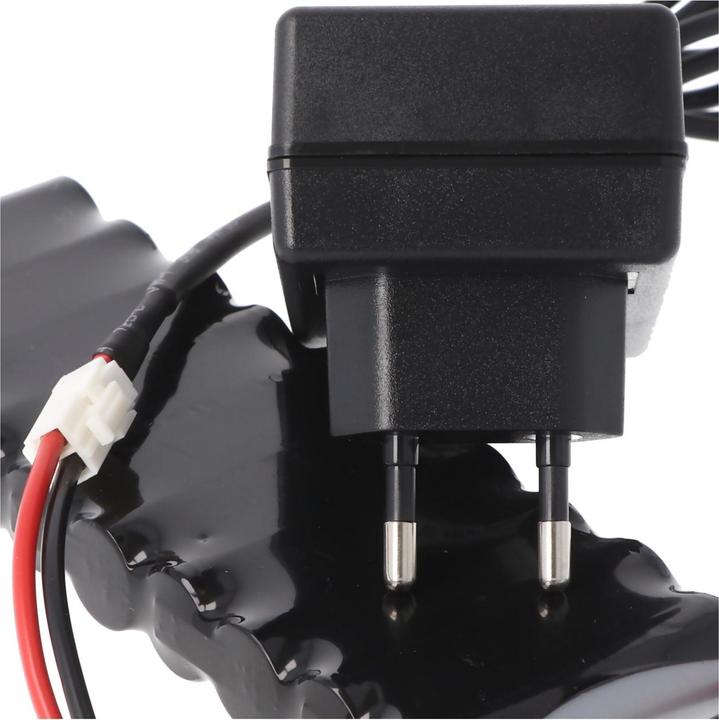 Produktbild AccuCell Ladegerät für Roto ZEL Akku 12 Volt RT2 SF G2