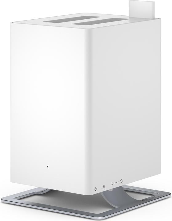 Actual product image Stadler Form Anton (25 m²)