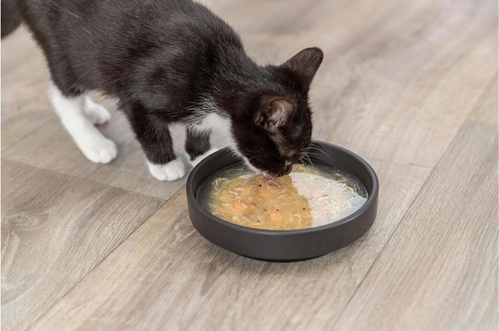 Produktbild Trixie Katzen-Nahrungsergänzung Soup mit Huhn & Lachs 4 x 80 g (Adult, 4 Stk., 320 g)